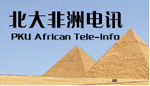 PKU African Tele-info